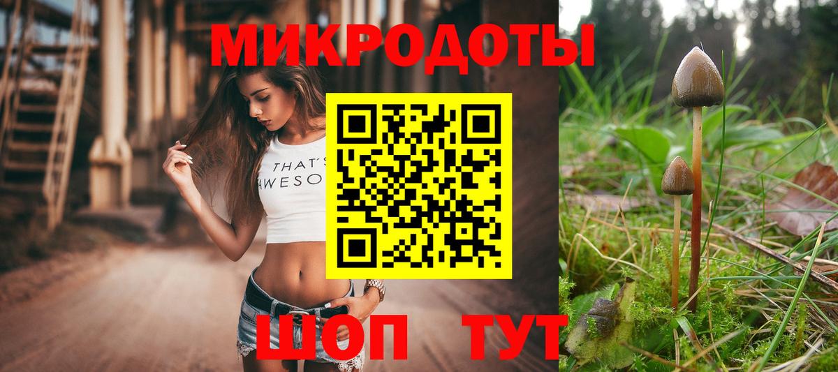 Галлюциногенные грибы прущие грибы  Галлюциногенные грибы мухоморы  Вход с VPN  Нерюнгри 
